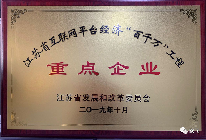 喜报！江苏欧飞获评2019年江苏省互联网平台经济“百千万”工程重点企业